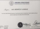 Uzm. Kl. Psk. Aslı Akdoğan Alkılıç Psikoloji sertifikası