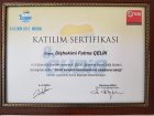 Dt. Fatma Çelik Diş Hekimi sertifikası