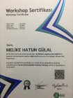 Dyt. Melike Hatun Gülal Diyetisyen sertifikası
