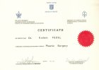 Prof. Dr. Erdem Tezel Plastik Rekonstrüktif ve Estetik Cerrahi sertifikası