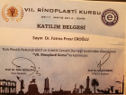 Dr. Pınar Eroğlu Ulusoy Plastik Rekonstrüktif ve Estetik Cerrahi sertifikası