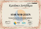 Psk. Ayşe Nur Çelen Psikoloji sertifikası