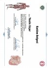Op. Dr. Yasin Uçar Genel Cerrahi sertifikası