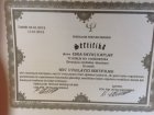 Dr. Psk. Esra Savaş Psikoloji sertifikası
