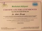 Dil ve Konuşma Terapisti Seher Sönmez Dil Konuşma Bozuklukları sertifikası