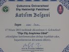 Dt. Ezgi Ünal Diş Hekimi sertifikası