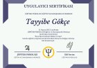 Uzm. Kl. Psk. Tayyibe Gökçe Psikoloji sertifikası