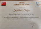Dt. Gizem Çokçapar Diş Hekimi sertifikası