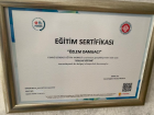Psk. Özlem Damgacı Psikoloji sertifikası