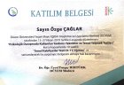 Uzm. Psk. Dan. Özge Çağlar Psikolojik Danışman sertifikası