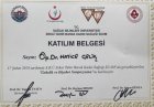 Doç. Dr. Hatice Çelik Kadın Hastalıkları ve Doğum sertifikası