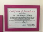 Dr. Dt. Nurbengu Yilmaz Diş Hekimi sertifikası