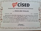Dr. Özgül Yücalan Psikoloji sertifikası