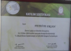 Op. Dr. Fethiye Ersan Kadın Hastalıkları ve Doğum sertifikası