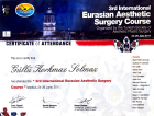Op. Dr. Güllü Korkmaz Solmaz Plastik Rekonstrüktif ve Estetik Cerrahi sertifikası