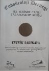 Op. Dr. Tevfik Sarıkaya Üroloji sertifikası