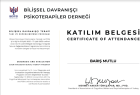 Psk. Dan. Barış Mutlu Psikolojik Danışman sertifikası