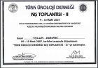 Prof. Dr. Tolga Akman Üroloji sertifikası