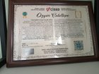Uzman Aile Danışmanı Özgür Çataltepe Aile Danışmanı sertifikası