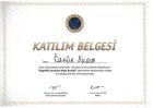 Uzm. Psk. Dan. Özgür Yıldız Psikolojik Danışman sertifikası