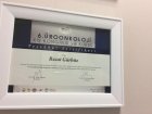 Prof. Dr. Recai Gürbüz Üroloji sertifikası