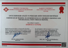 Psk. Ayşegül Güneş Psikoloji sertifikası
