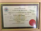 Prof. Dr. Mehmet Lütfü Tahmaz Üroloji sertifikası