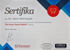 Dt. Gizem Altıntoprak Diş Hekimi sertifikası