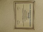 Dr. Tubahan Kaya Diş Hekimi sertifikası