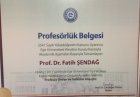 Prof. Dr. Fatih Şendağ Kadın Hastalıkları ve Doğum sertifikası