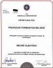 Aile Danışmanı Melike Albayrak Aile Danışmanı sertifikası