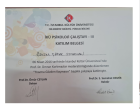 Uzm. Psk. Dan. Özlem Şafak Psikolojik Danışman sertifikası