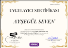 Psk. Ayşegül Seven Psikoloji sertifikası