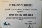 Uzm. Kl. Psk. Mustafa Mert Mutlu Psikoloji sertifikası