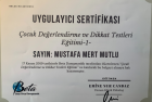 Uzm. Kl. Psk. Mustafa Mert Mutlu Klinik Psikolog sertifikası