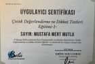 Uzm. Kl. Psk. Mustafa Mert Mutlu Psikoloji sertifikası