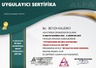 Psk. Beyza Kalemci Psikoloji sertifikası