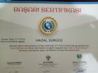 Psk. Dan. Hazal Sürücü Psikoloji sertifikası