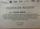 Uzm. Psk. Emine Bektaş Psikoloji sertifikası