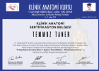 Op. Dr. Temmuz Taner Kalp Damar Cerrahisi sertifikası