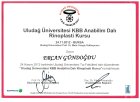 Op. Dr. Ercan Gündoğdu Kulak Burun Boğaz hastalıkları - KBB sertifikası
