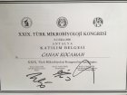 Doç. Dr. Canan Kocaman Çocuk Sağlığı ve Hastalıkları sertifikası