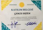 Çocuk Gelişim Gamze Ertem Çocuk Gelişim sertifikası