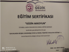 Psk. Güzin Akkoyun Psikoloji sertifikası