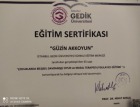 Psk. Güzin Akkoyun Psikoloji sertifikası