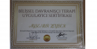 Psk. Dan. Ayşenur Zeybek Arslan Psikoloji sertifikası