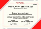 Psk. Dan. İlayda Tutar Psikolojik Danışman sertifikası