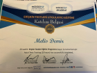 Klinik Psikolog  Melis Demir Klinik Psikolog sertifikası