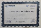 Psk. Hatice Mercan Psikoloji sertifikası