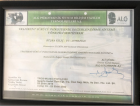 Psk. Büşra Kılıç Psikoloji sertifikası